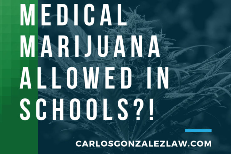 Medical Marijuana allowed in schools in Florida? Criminal Lawye